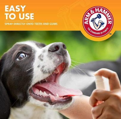 Show full view: Arm & Hammer Products Tartar Control Mint Flavored Dog Dental Spray, 4-fl oz bottle slide 7 of 9