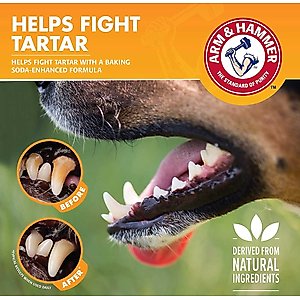 Arm & Hammer Products Tartar Control Unflavored Dog Dental Water Additive, 16-fl oz bottle