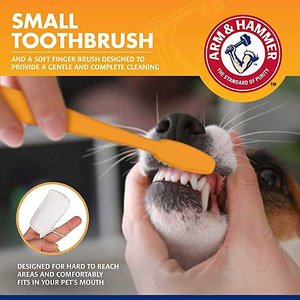 Arm & Hammer Products Tartar Control Vanilla-Ginger Flavored Enzymatic Puppy Dental Training Kit