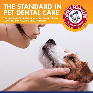 Arm & Hammer Products Tartar Control Vanilla-Ginger Flavored Enzymatic Puppy Dental Training Kit