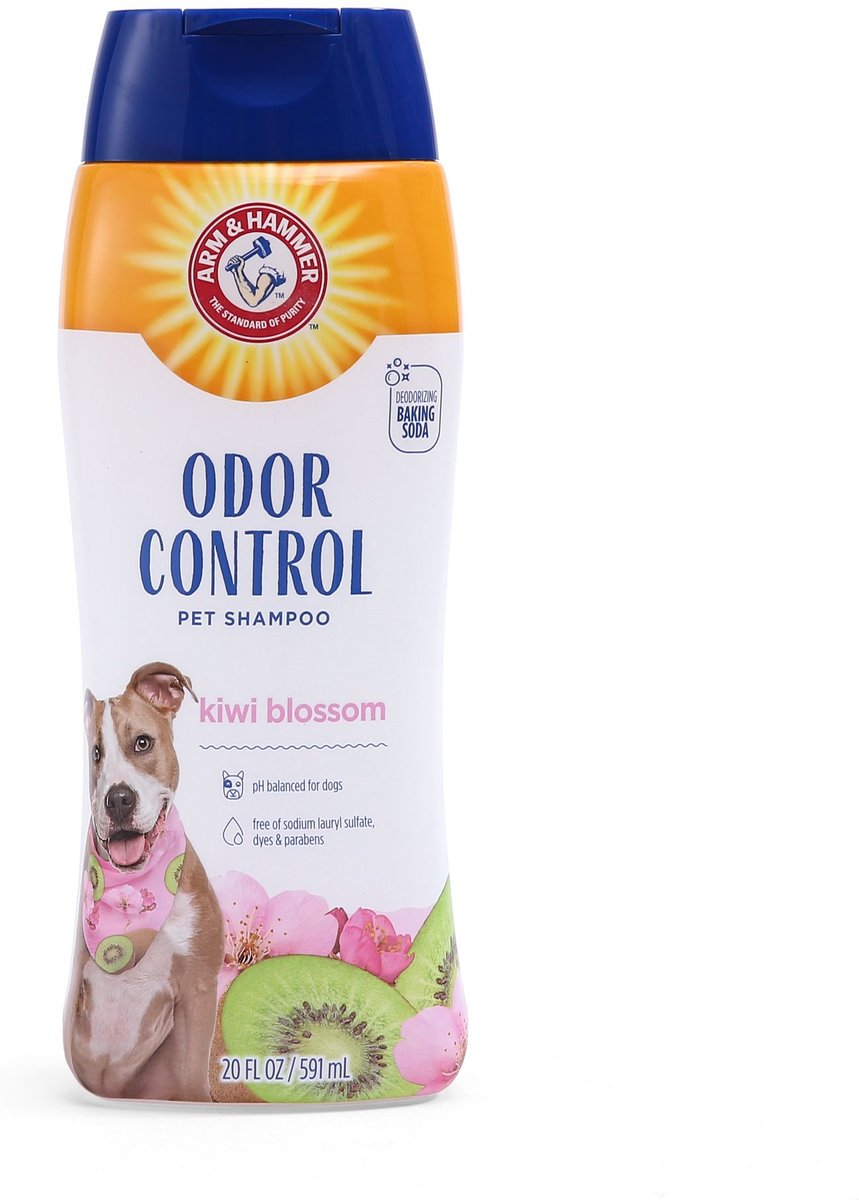Arm & Hammer Products Dry Dog & Cat Shampoo, 3.5-oz bottle