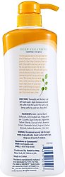 Arm & Hammer Products Ultra Fresh Deep Cleansing with Charcoal & Rosemary Value Size Dog Shampoo, 24-fl oz bottle slide 2 of 7