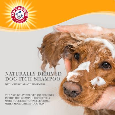 Show full view: Arm & Hammer Products Ultra Fresh Deep Cleansing with Charcoal & Rosemary Value Size Dog Shampoo, 24-fl oz bottle slide 4 of 8