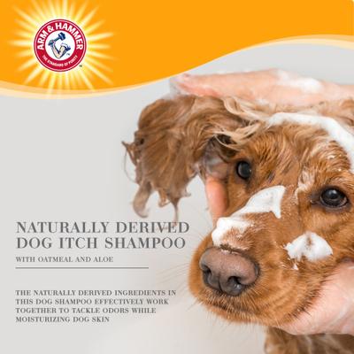 Show full view: Arm & Hammer Products Ultra Fresh Itch Relief with Oatmeal & Aloe Value Size with Pump Dog Shampoo, 24-fl oz bottle slide 4 of 8