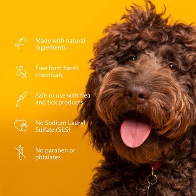 Show full view: Arm & Hammer Products Vanilla Coconut Soothing Oatmeal Dog Shampoo, 20-fl oz bottle slide 5 of 6