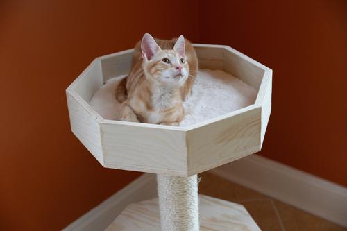 Show full view: Armarkat 29-in Premium Scots Condo Cat Tree slide 3 of 8