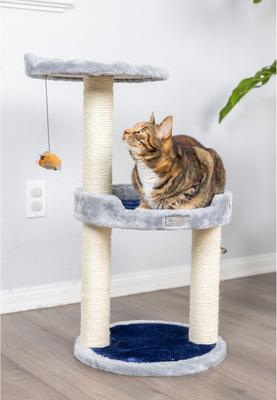 Show full view: Armarkat 30-in Multi-Leveled Cat Tree, Gray slide 5 of 12