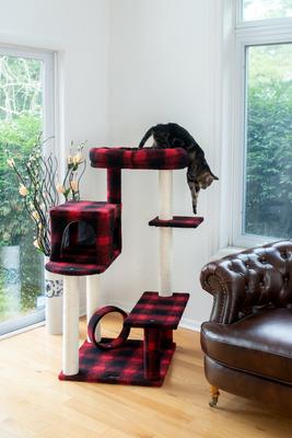 Show full view: Armarkat 50-in Classic Cat Tree with Bench & Perch slide 4 of 10