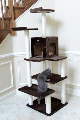 Show full view: Armarkat 66-in GleePet Condo & Perch Cat Tree, Coffee Brown, 66-in slide 5 of 10