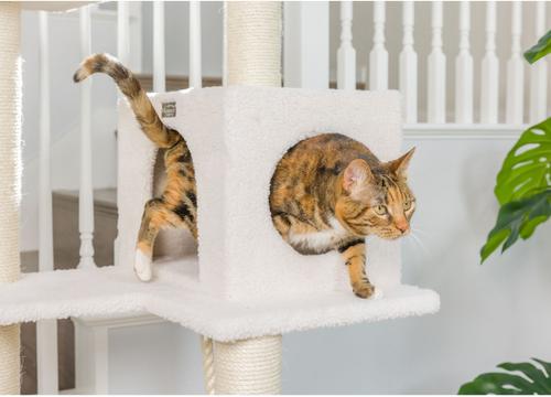 Show full view: Armarkat 73-in Faux Fleece Cat Tree & Condo, Ivory slide 4 of 12