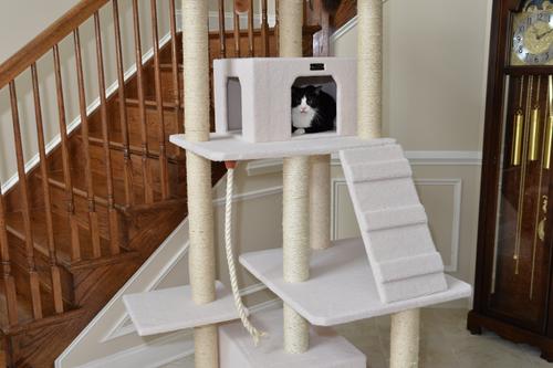 Show full view: Armarkat 82-in Classic Cat Tree, Ivory slide 6 of 10