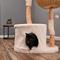 Show in main carousel: Armarkat AMNI 47-in Plush Real Branch Cat Tree & Condo with Scratching Post, Beige slide 5 of 11