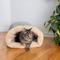 Show in main carousel: Armarkat Burrow Cat Bed, Sage Green/Beige slide 2 of 11
