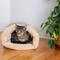 Show in main carousel: Armarkat Burrow Cat Bed, Sage Green/Beige slide 3 of 11