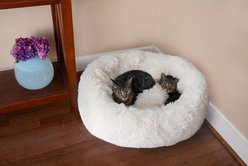 Armarkat Cuddler Cat Bed, Medium