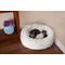 Show in main carousel: Armarkat Cuddler Cat Bed, Medium slide 1 of 11