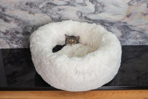 Show full view: Armarkat Cuddler Cat Bed, Medium slide 4 of 11