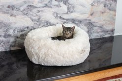 Armarkat Cuddler Cat Bed, Small