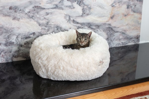 Armarkat Cuddler Cat Bed