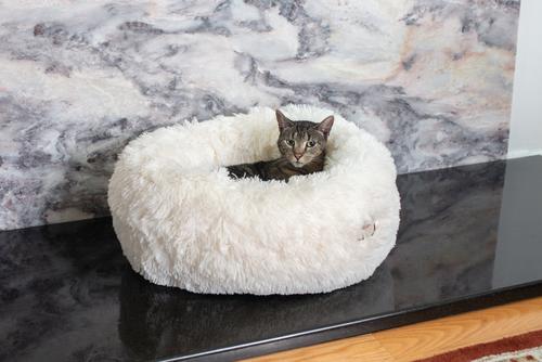 Show full view: Armarkat Cuddler Cat Bed, Small slide 5 of 11