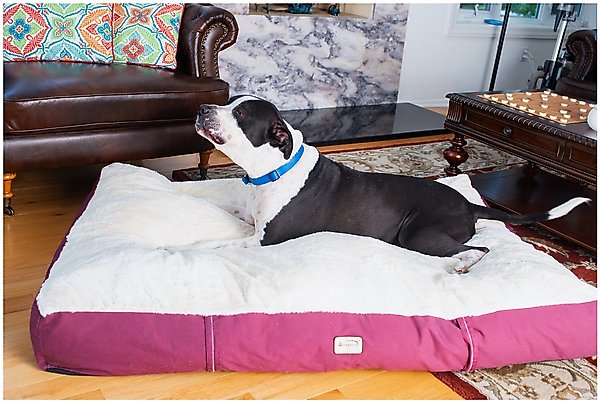 Show full view: Armarkat Dog Pillow Bed with Removable Cover, Burgundy/Ivory, X-Large slide 2 of 12