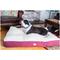 Show in main carousel: Armarkat Dog Pillow Bed with Removable Cover, Burgundy/Ivory, X-Large slide 2 of 12