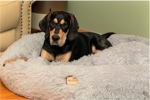 Show full view: Armarkat Fluffy Round Cat Bed, Silver Gray, X-Large slide 7 of 9