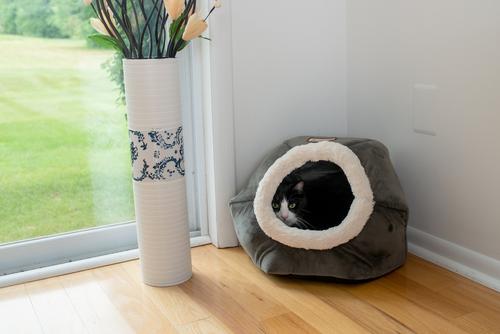 Show full view: Armarkat Gray Velvet Cat Bed slide 5 of 11