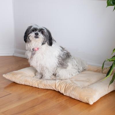 Show full view: Armarkat Pillow Dog Mat, Beige, Medium slide 3 of 11