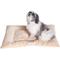 Show in main carousel: Armarkat Pillow Dog Mat, Beige, Medium slide 4 of 11