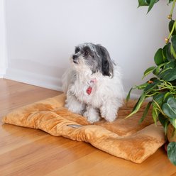 Armarkat Pillow Dog Mat, Brown, Medium