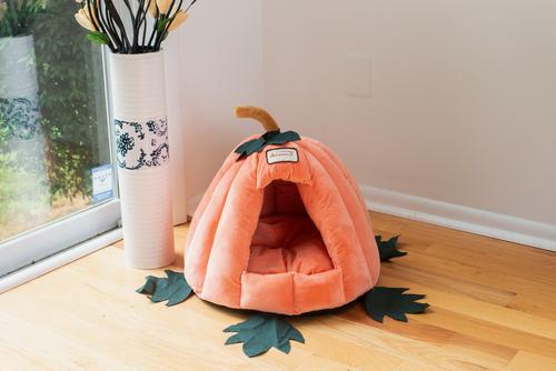 Show full view: Armarkat Pumpkin Shape Cat Bed slide 4 of 12