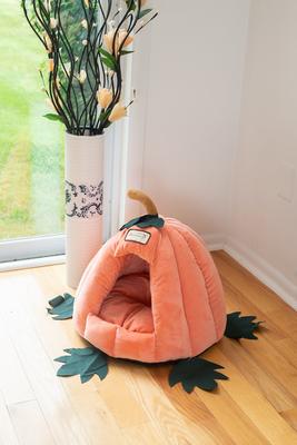 Show full view: Armarkat Pumpkin Shape Cat Bed slide 5 of 12