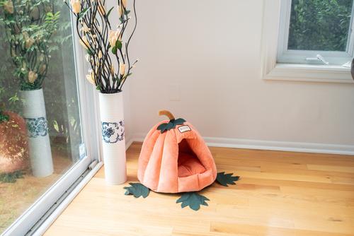 Show full view: Armarkat Pumpkin Shape Cat Bed slide 6 of 12
