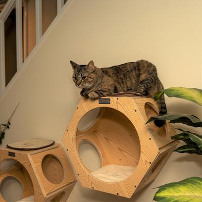 Show full view: Armarkat Real Wood Cat Wall Additions, Natural Beige, 2 count slide 5 of 11
