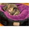 Show in main carousel: Armarkat Soft Cat Bed, Purple & Black, Large slide 5 of 12