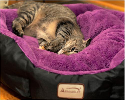 Show full view: Armarkat Soft Cat Bed, Purple & Black, Large slide 5 of 12