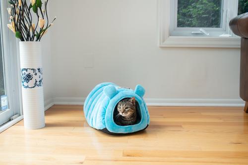 Show full view: Armarkat Tube Shape Cat Bed slide 4 of 10