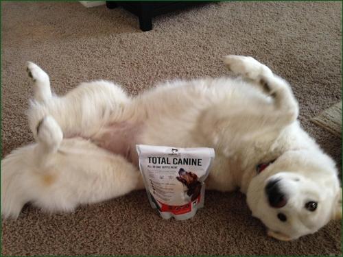 Show full view: Arnall's Naturals Total Canine All-In-One Dog supplement, 454-g bag slide 6 of 11