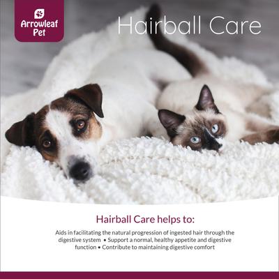 Show full view: Arrowleaf Pet by NaturPet Inc. Hairball Care & Digestive Health Liquid Supplement for Cats & Dogs, 100-ml bottle slide 5 of 8