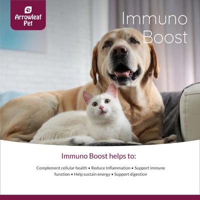 Show full view: Arrowleaf Pet by NaturPet Inc. Immuno Boost Immune System & Allergy Support Liquid Supplement for Cats & Dogs 100-ml bottle slide 5 of 7
