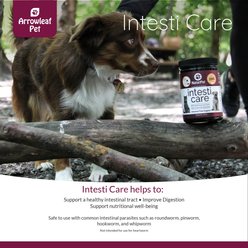 Arrowleaf Pet by NaturPet Inc. Intesti Care Digestive & Deworming Support for Cats & Dogs, 165-g powder slide 2 of 6