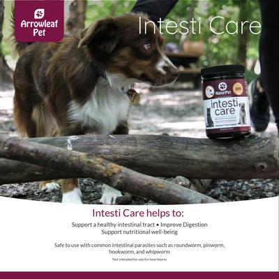 Show full view: Arrowleaf Pet by NaturPet Inc. Intesti Care Digestive Health Powder Digestive Aid for Cats & Dogs, 165-g jar slide 5 of 8