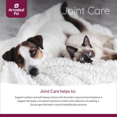 Show full view: Arrowleaf Pet by NaturPet Inc. Joint Care Hip & Joint Mobility Liquid Supplement for Cats & Dogs 100-ml bottle slide 5 of 7