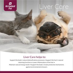 Arrowleaf Pet by NaturPet Inc. Liver Care Milk Thistle Detox Liquid Liver Supplement for Cats & Dogs, 100-ml bottle slide 2 of 6