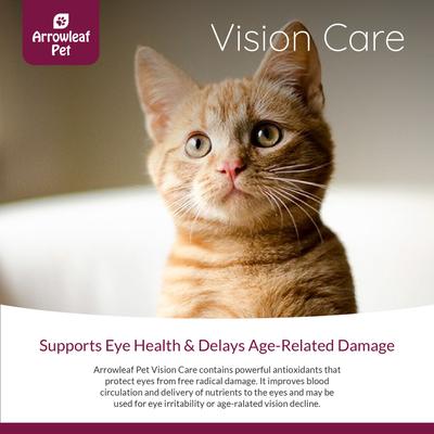 Show full view: Arrowleaf Pet by NaturPet Inc. Vision Care Bilberry Eye Support Liquid Supplement for Cats & Dogs, 100-ml bottle slide 3 of 8