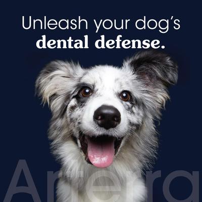 Show full view: Arterra Pet Science Peanut Butter Flavored Nano Hydroxyapatite Remineralizing Dog Toothpaste, 3-oz tube slide 4 of 12