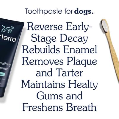 Show full view: Arterra Pet Science Peanut Butter Flavored Nano Hydroxyapatite Remineralizing Dog Toothpaste, 3-oz tube slide 5 of 12