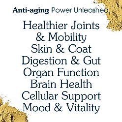 Arterra The Daily Dog Supplement Multivitamin + Joint Support Powder Supplement for Senior Dogs, 30 Scoops slide 2 of 8