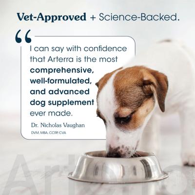 Show full view: Arterra The Daily Dog Supplement Multivitamin + Joint Support Powder Supplement for Senior Dogs, 60 Scoops slide 6 of 11